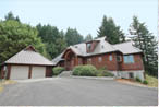 80 Blue Spruce