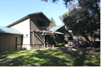 80 Blue Spruce